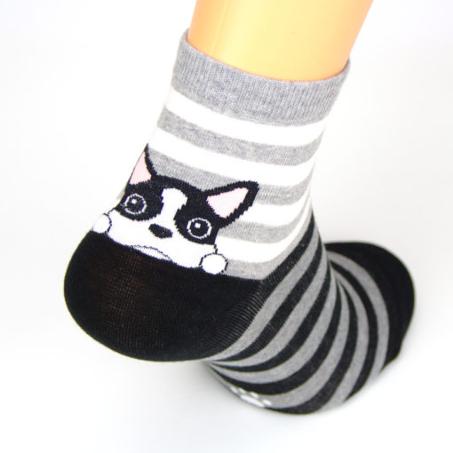 Boston Terrier Socken