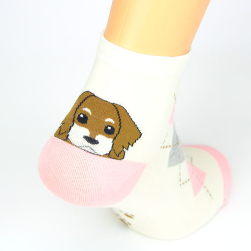 Socken Hund Foxhound