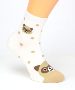 Socken Waschbär